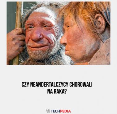 Czy neandertalczycy chorowali na raka?