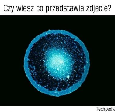 Co jest na zdjęciu?