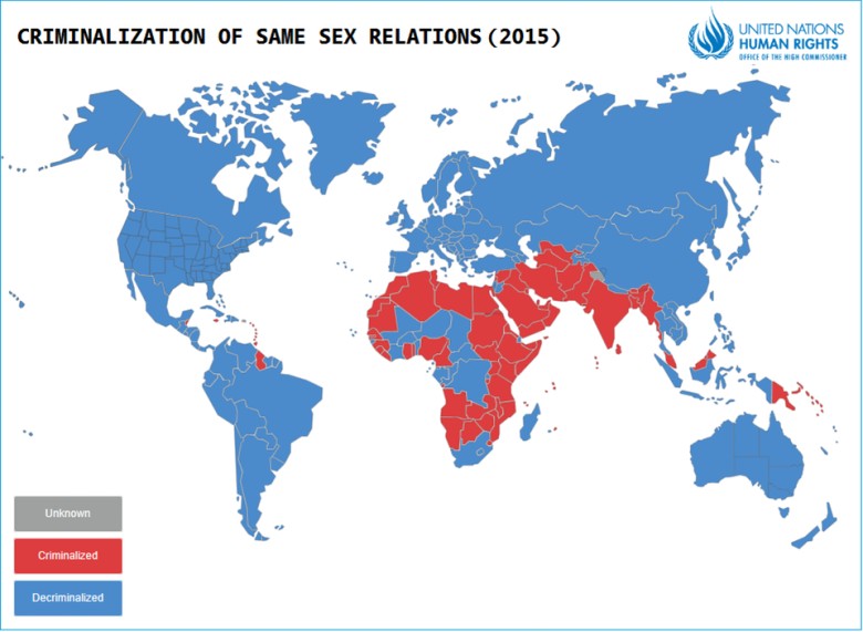Penalizacja aktów seksualnych tej samej płci (ideologia LGBT), ONZ, 2015