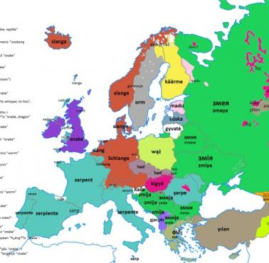 Etymologia słowa "wąż" w Europie