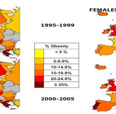 Współczynnik otyłości w Europie, kobiety i mężczyźni w latach 1995-1999, 2000-2005