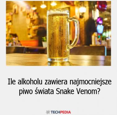 Ile alkoholu zawiera najmocniejsze piwo świata Snake Venom?