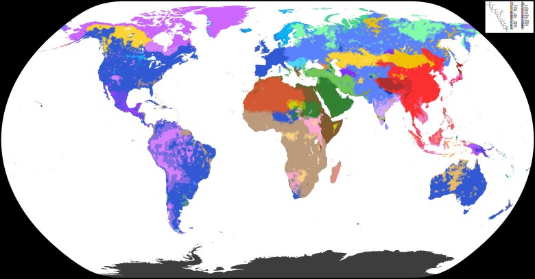 Mapa genetyczna świata