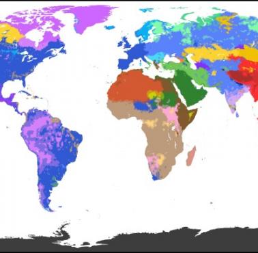Mapa genetyczna świata