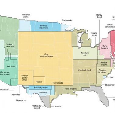 Dominujące wykorzystanie ziemi w poszczególnych stanach USA