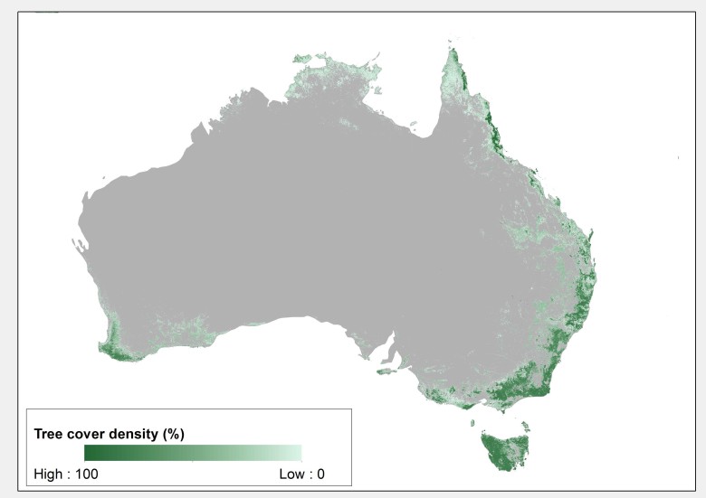 Pokrywa leśna Australii