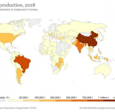 Największych producenci tytoniu na świecie w 2018 roku