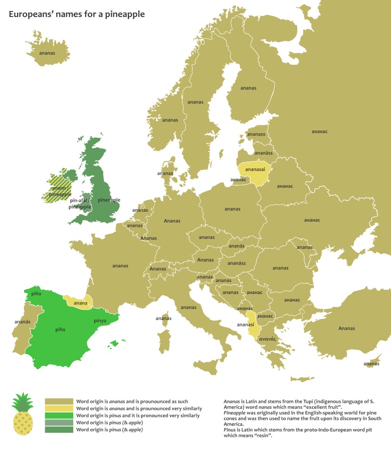 Słowo ananas w różnych europejskich językach