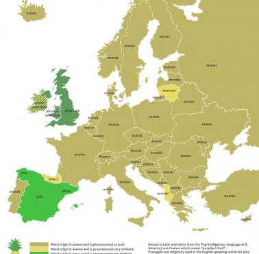 Słowo "ananas" w różnych europejskich językach