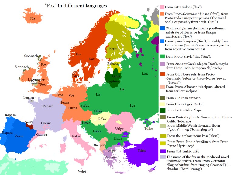 Słowo lis w różnych europejskich językach