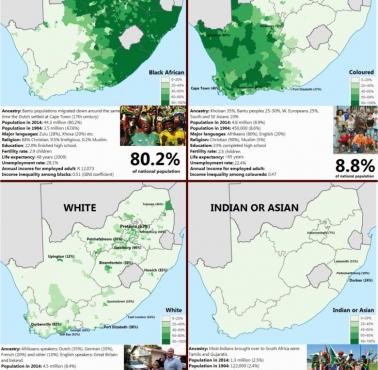 Cztery główne grupy etniczne Afryki Południowej jako odsetek ludności, 2011