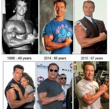 Arnold Schwarzenegger, od 1974 do 2015 roku