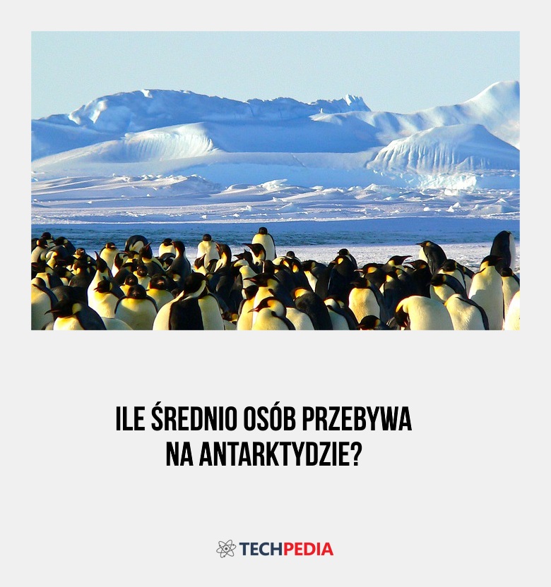 Ile średnio osób przebywa na Antarktydzie?