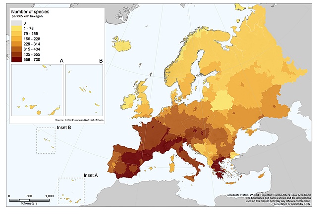 Liczba gatunków pszczół występujących w Europie