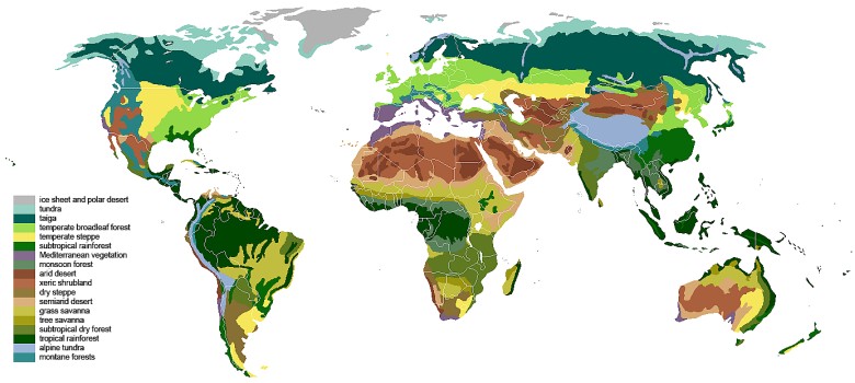 Mapa biomów świata