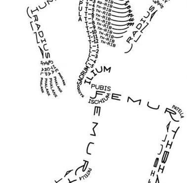 Łatwy sposób na zapamiętanie układu kostnego człowieka