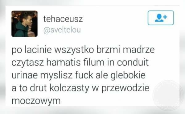 Po łacinie wszystko brzmi mądrze