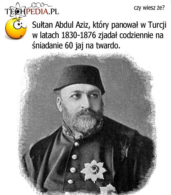 Sułtan Abdul Aziz