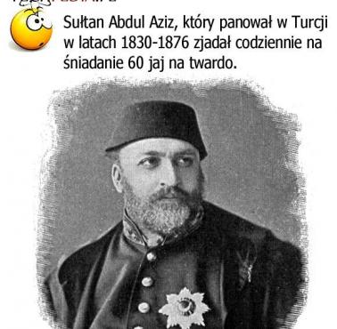 Sułtan Abdul Aziz