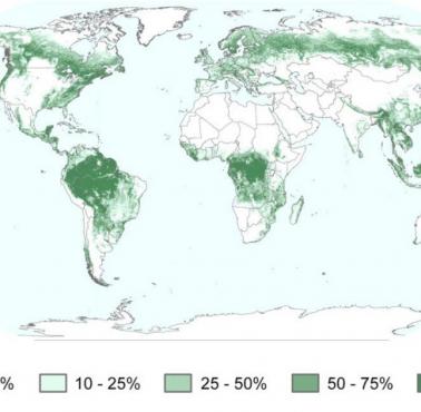 Gęstość pokrywy leśnej na świecie