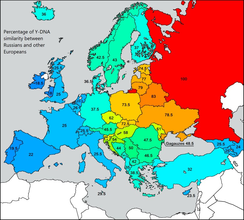 Podobieństwo Y-DNA między Rosjanami a innymi Europejczykami
