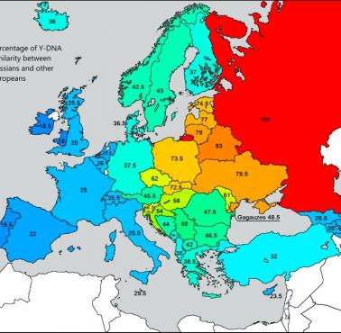 Podobieństwo Y-DNA między Rosjanami a innymi Europejczykami