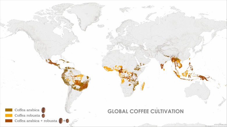 Globalna produkcja kawy arabica i robusta