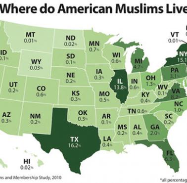 Odsetek muzułmanów w USA z podziałem na stany, 2010