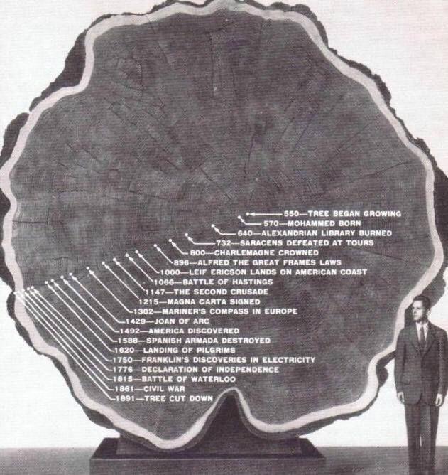 Wiek drzewa datowany po słojach, 550-1891