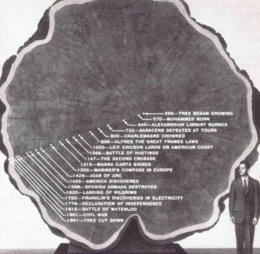 Wiek drzewa datowany po słojach, 550-1891