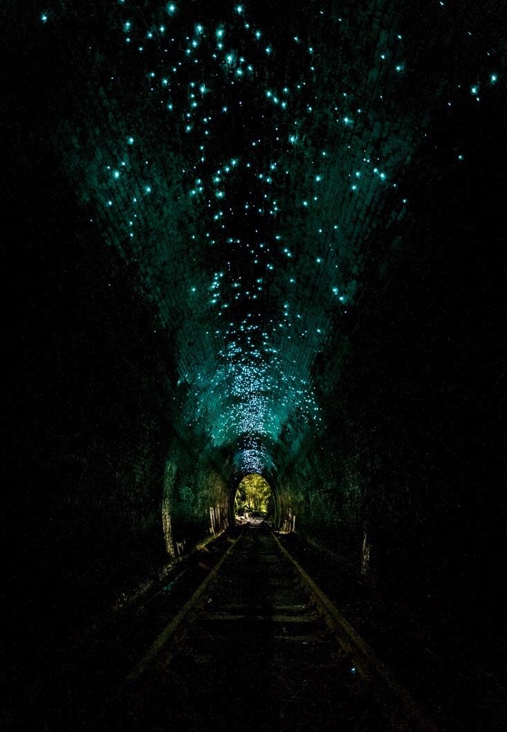 Bioluminescencje robaki w tunelu podziemnej kolejki