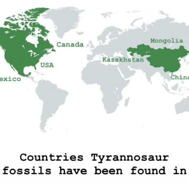 Kraje, w których znaleziono skamieniałości tyranozaurów