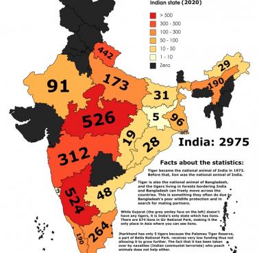 Liczba tygrysów w każdym stanie Indii w 2020 r.