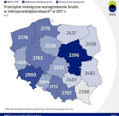 Przeciętne wynagrodzenie w mikroprzedsiębiorstwach w Polsce, 2017 GUS