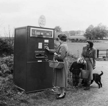 Automat do jajek, 1960