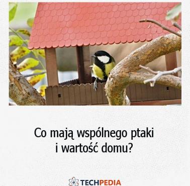 Co mają wspólnego ptaki i wartość domu?