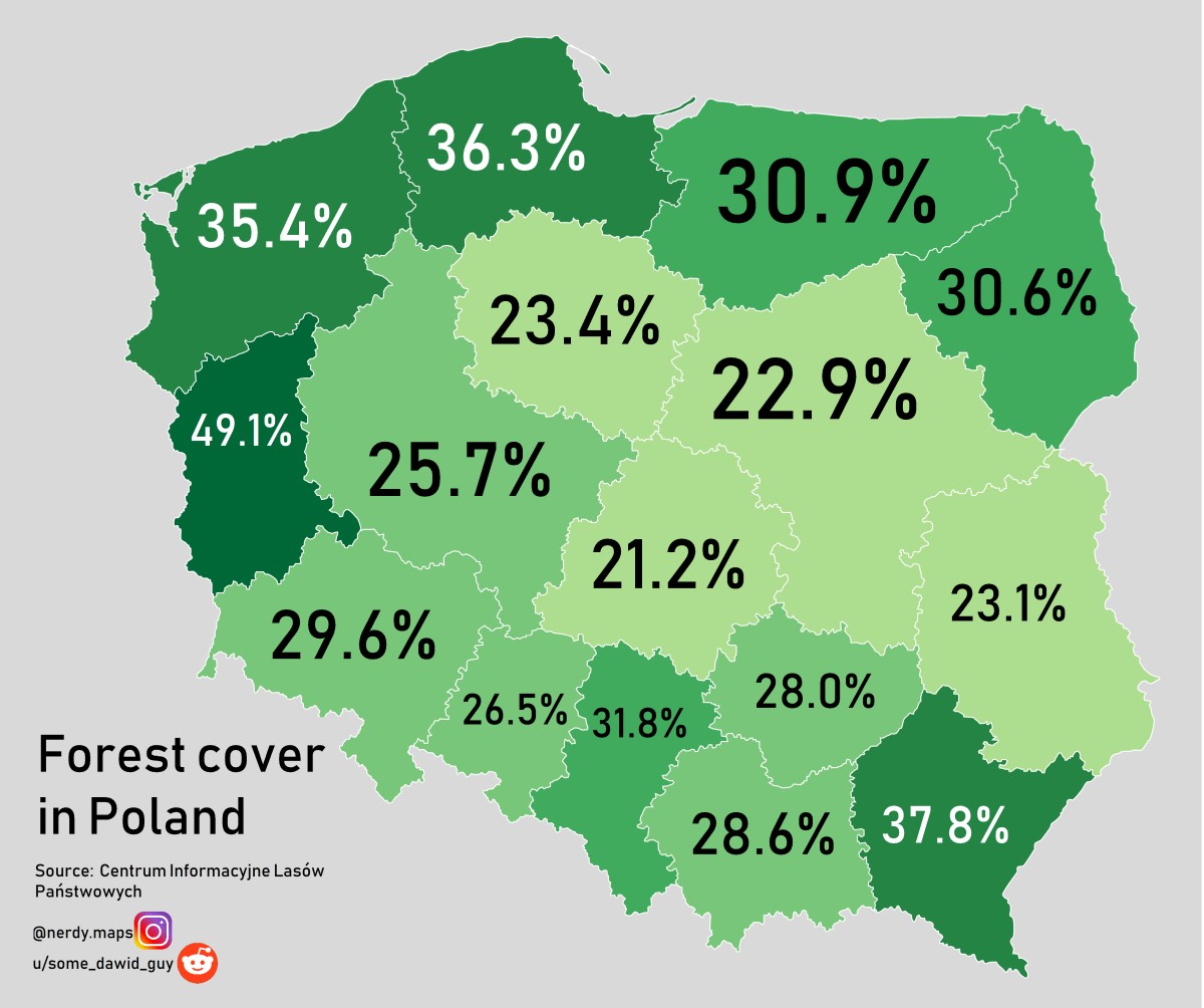 Pokrywa leśna w Polsce