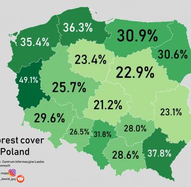 Pokrywa leśna w Polsce