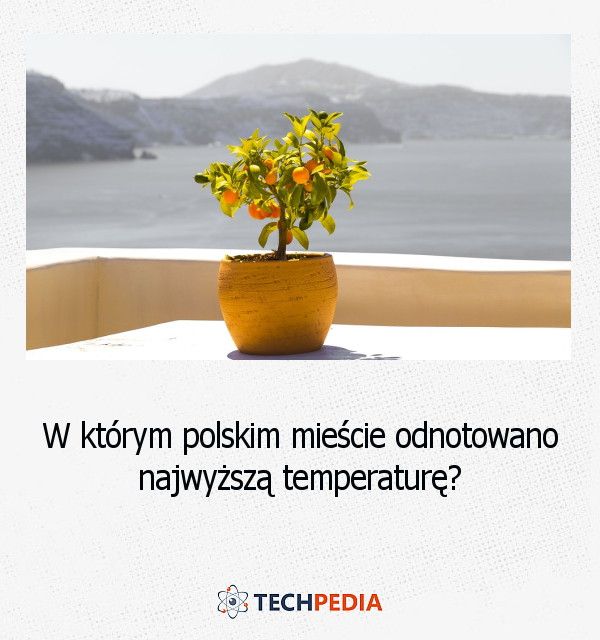 W którym polskim mieście odnotowano najwyższą temperaturę?