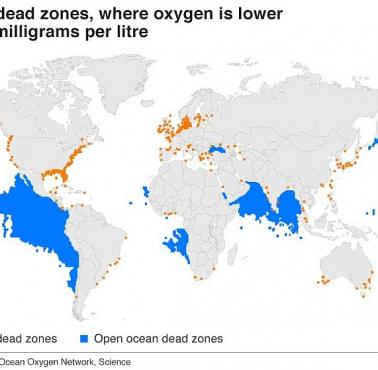Martwe strefy morskie - obszary, w których głęboka woda zawiera tak mało tlenu, że nie ma w nich życia