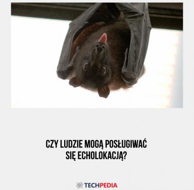 Czy ludzie mogą posługiwać się echolokacją?