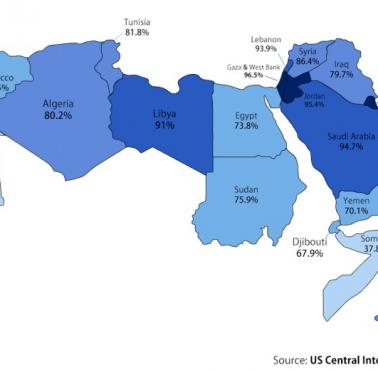 Wskaźniki alfabetyzacji dorosłych w świecie arabskim