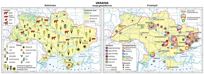 Mapa gospodarcza Ukrainy - rolnictwo, przemysł