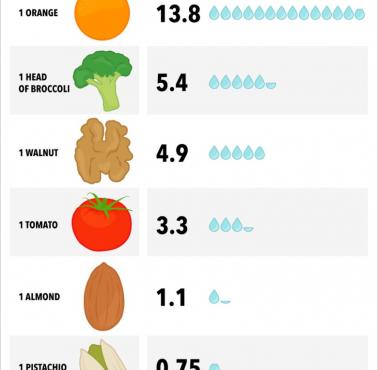 Ile wody potrzeba do uprawy niektórych jadalnych roślin (eng)