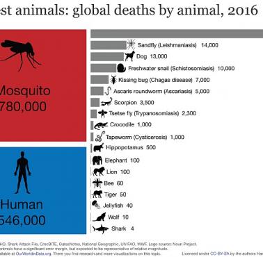 Najniebezpieczniejsze zwierzęta na świecie