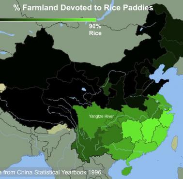 Odsetek użytków rolnych przeznaczonych na pola ryżowe w Chinach (1996)