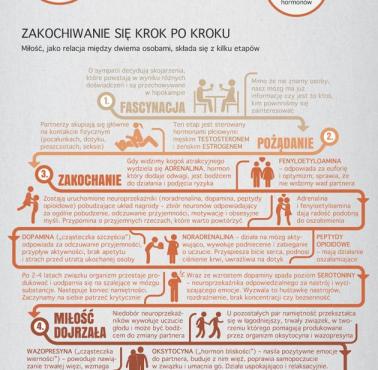 Miłość krok po kroku