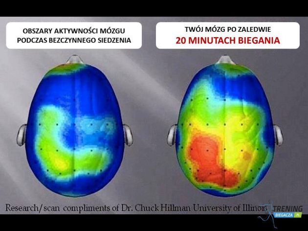 Aktywność mózgu po biegu.