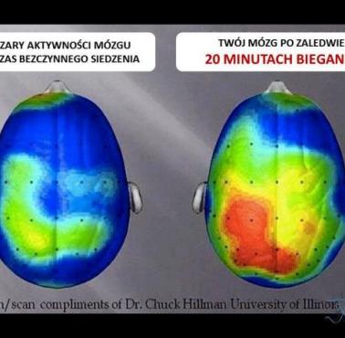Aktywność mózgu po biegu.
