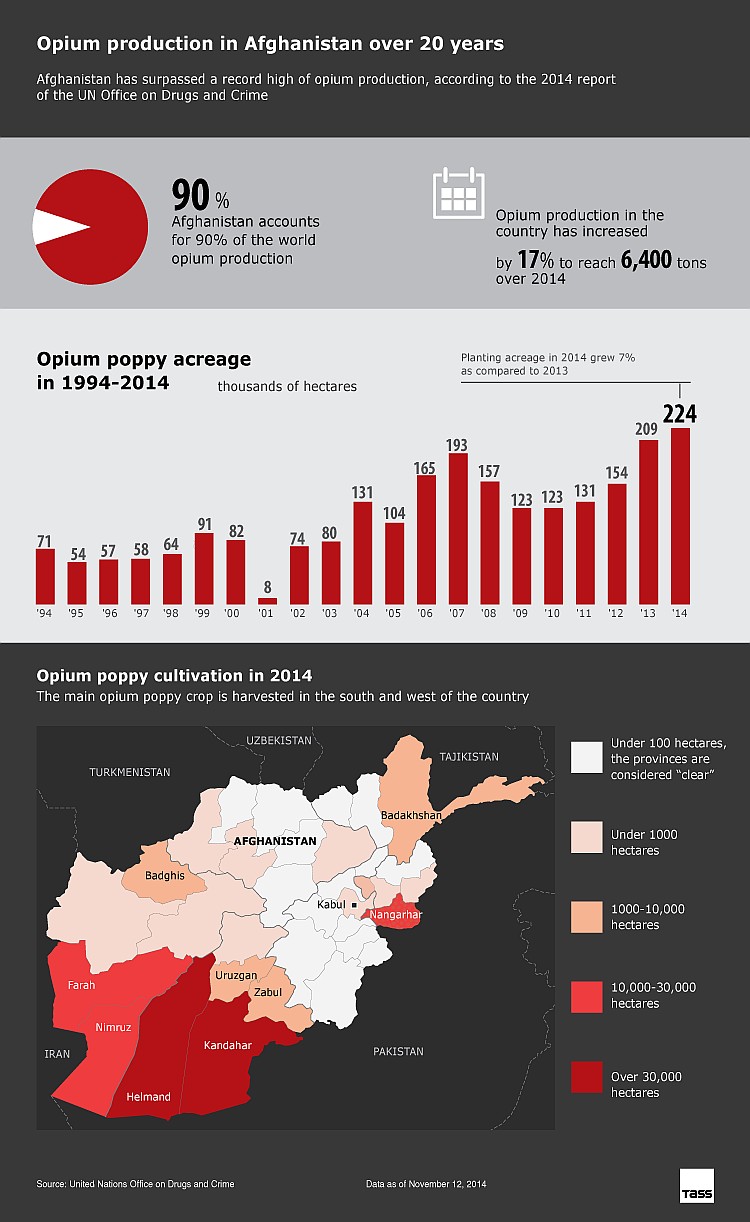 Produkcja opium w Afganistanie od 20 lat